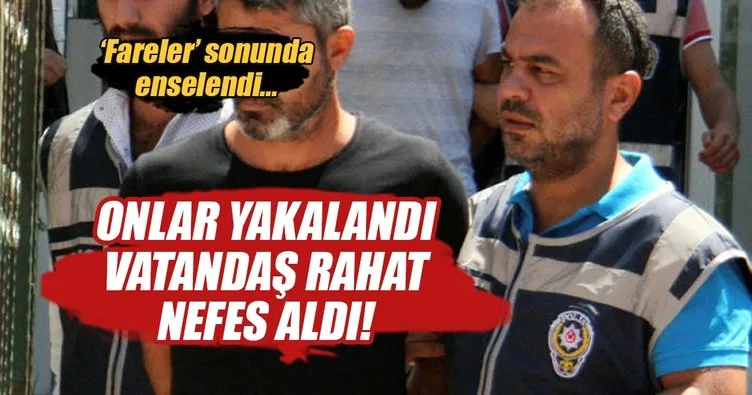 Antalya’da balkon fareleri tutuklandı