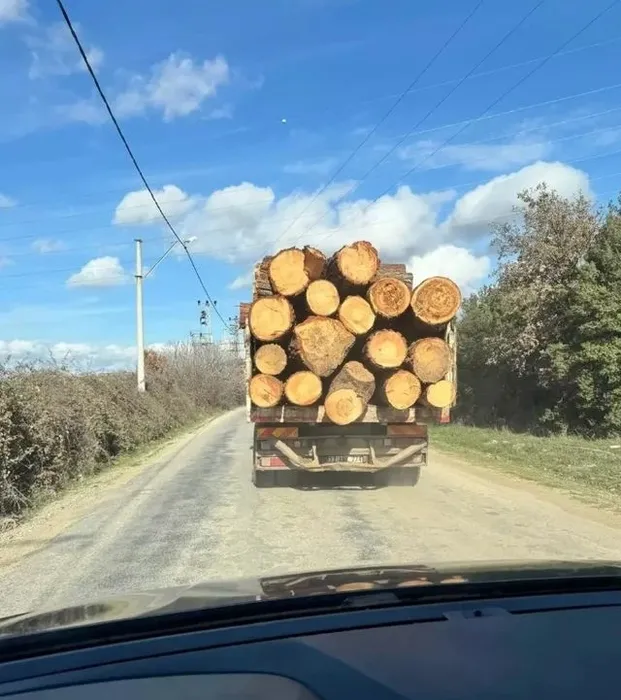 Çanakkale’deki kazada yeni detaylar ortaya çıktı: Dehşet kamyonunun suç dosyası kabarık!