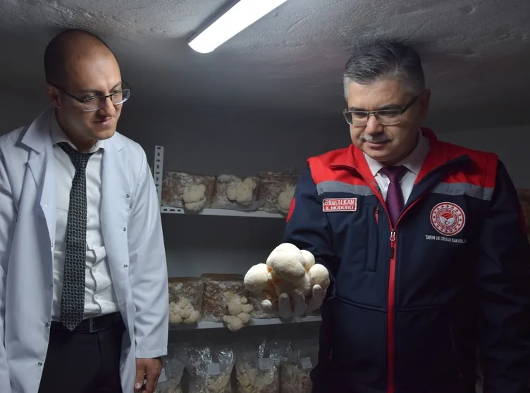 Evinin bodrumunda üretiyor servet kazanıyor: Kilosu 2 bin lira!