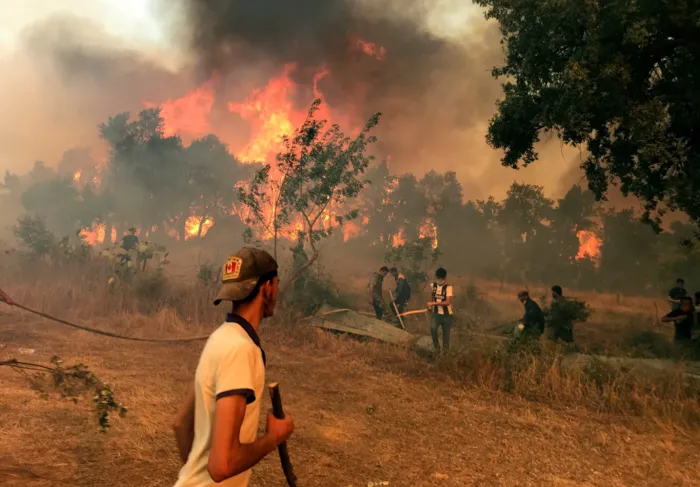 1784725251019.png Sıcak hava Cezayir’i yaktı: Orman yangınlarında ağır bilanço