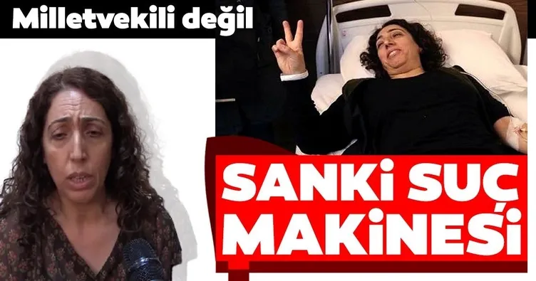 Milletvekili değil suç makinesi
