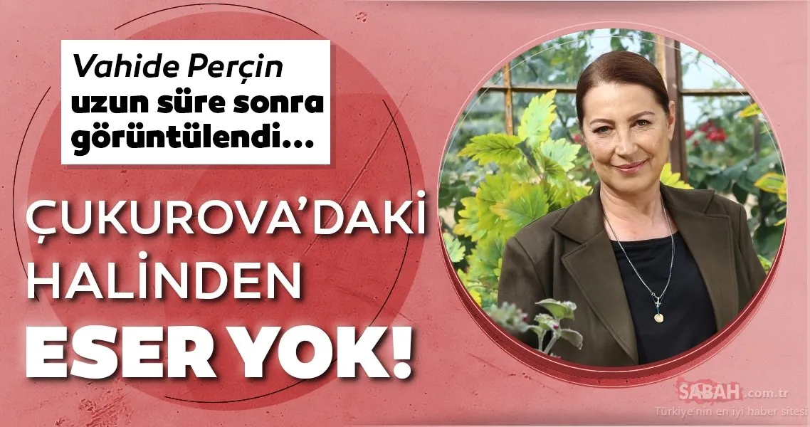 Uzun bir aradan sonra görüntülenen Vahide Perçin hayranlarını şaşırttı