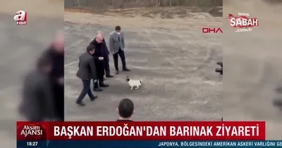 Başkan Erdoğan, hayvan barınağını ziyaret etti | Video