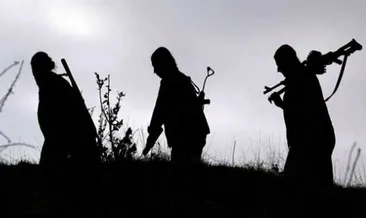 Ağrı’da 3 hain etkisiz hale getirildi