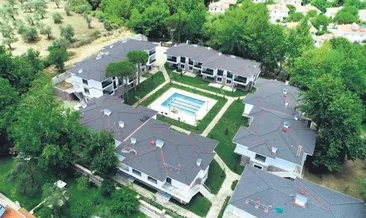 Havuzlu 10 villa için ağaç katliamı