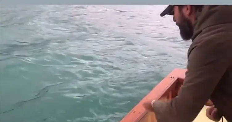 Engin Altan Düzyatan: Balıkçının aşkı lüferdir