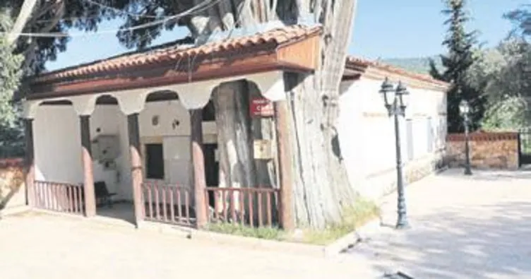 Tarihi cami ile anıt ağaç iç içe