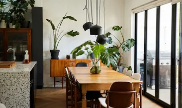 Fazla bakım gerektirmeyen evinize renk katacak 6 bitki