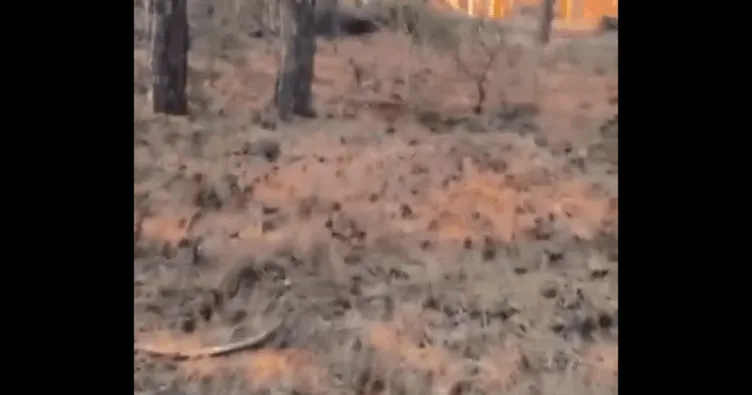 Eskişehir’deki yangın faciasında korkunç görüntüler! Acil kodla böyle yardım istemişler