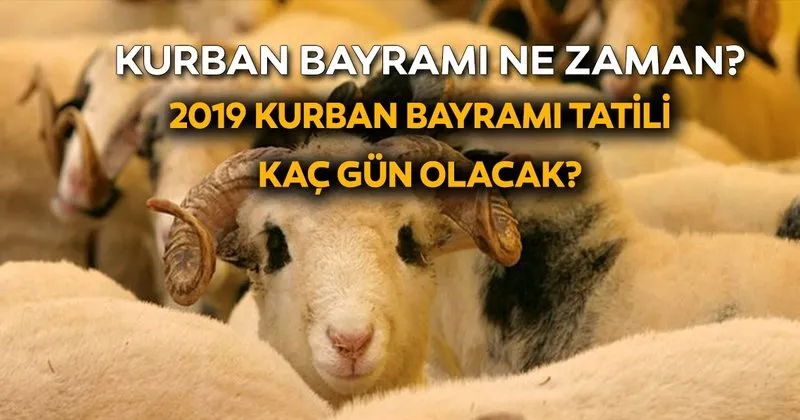 kurban bayrami 2019 tatil suresi ne