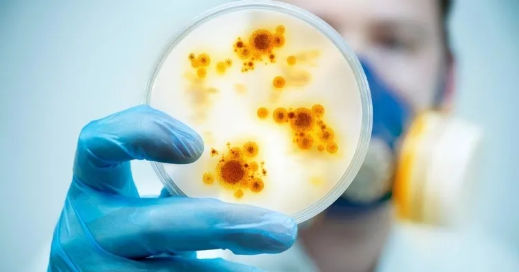 Üç virüs aynı anda tek vücutta