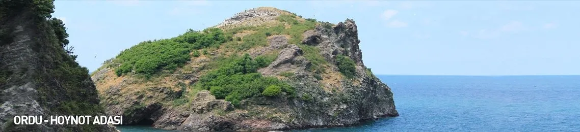 Ordu Haber Son Dakika Ordu Haberleri Guncel Haberler