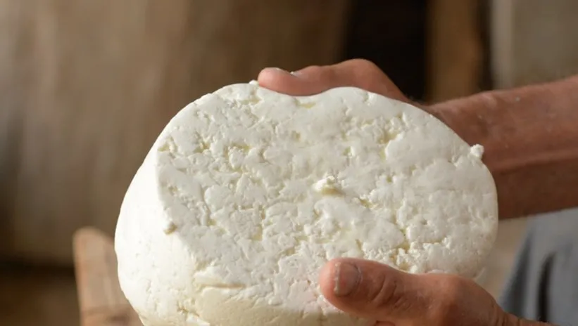 Peyniri muhafaza etmenin en kötü yolu! Eğer streçliyorsanız…