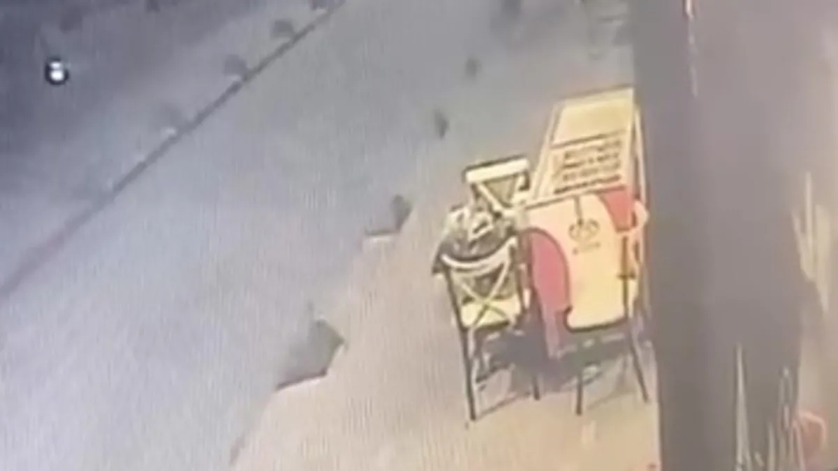 Geldi, gördü, çaldı ve gitti! İş yeri önünde hırsızlık kamerada