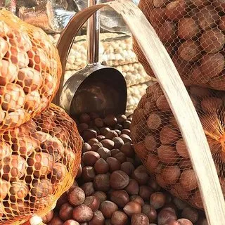 Fındık ihracatında 250-260 bin ton beklentisi