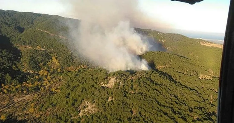 Bergama’da orman yangını