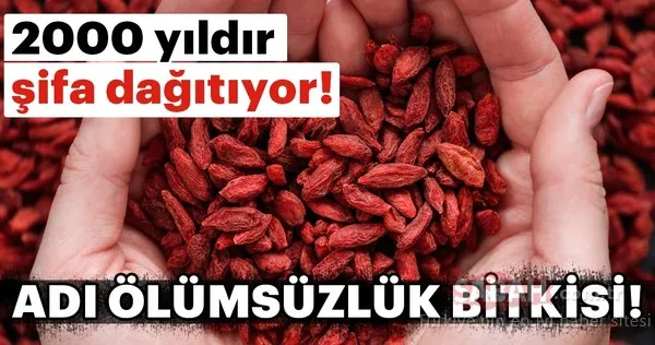 2000 yıldır şifa dağıtıyor!
