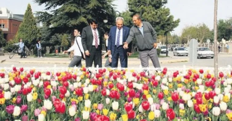 Akşehir’de bahar bir başka güzel