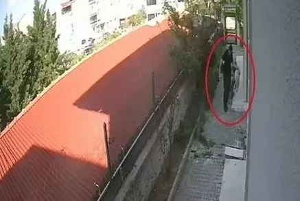 Evine canlı giren 8 yavru köpek poşetle çıktı! Vicdansız doktor davasında yeni gelişme!