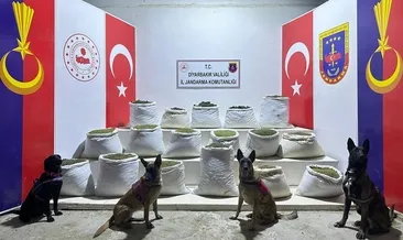 Operasyondan sonra gurur pozu verdiler