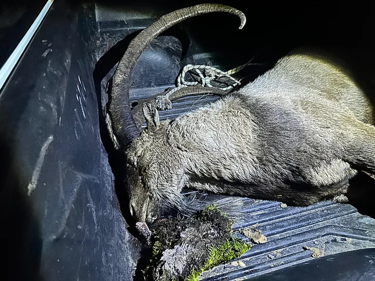 Bu ne yaman çelişki! İYİ Partili Karaman kaçak avcılık yaparken yakalanmıştı: Soru önergesi verdiği ortaya çıktı