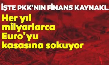 İşte PKK/YPG’nin finans kaynakları! Her yıl milyarlarca Euro’yu kasasına böyle sokuyor