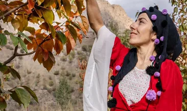 Sınırda cennet hurması hasadı