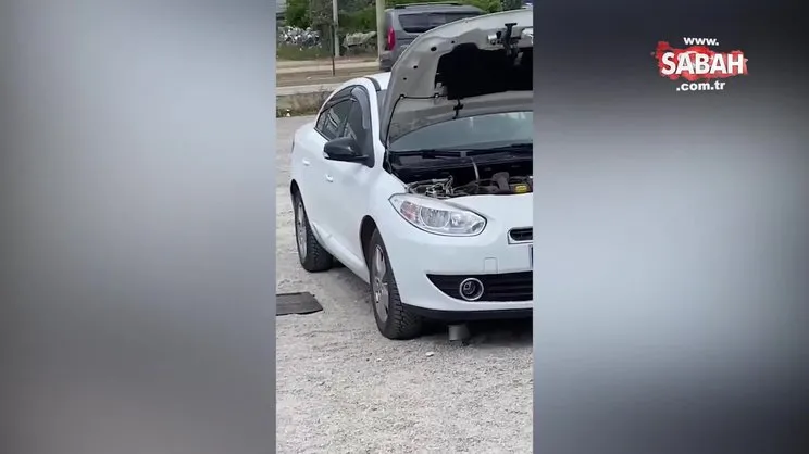 Fethiye’de otomobile giren yılan büyük çabayla çıkarıldı