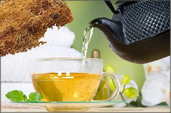 Zayıflamak için mısır püskülü çayı