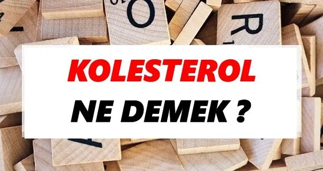 Kolesterol Ne Demek? TDK’ya Göre Kolesterol Sözlük Anlamı Nedir?