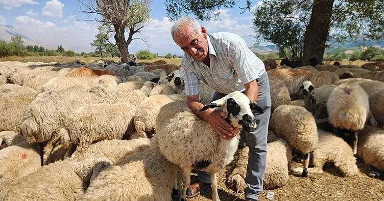 Çoban maaşları 130 bin liraya çıktı