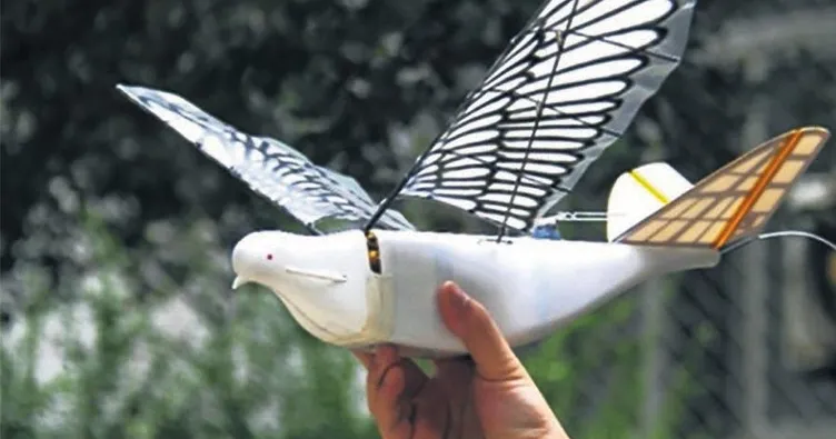 Çin’in casus güvercinleri