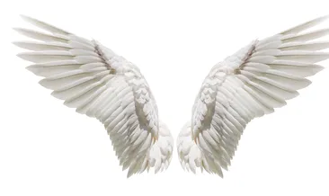 Rüyada melek görmek ne anlama gelir?