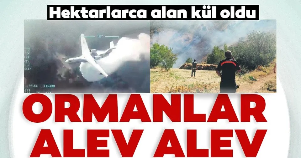 Ormanlar Alev Alev En Son Haber