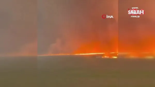 Arjantin’de orman yangını: 335 bin hektarlık alan kül oldu | Video