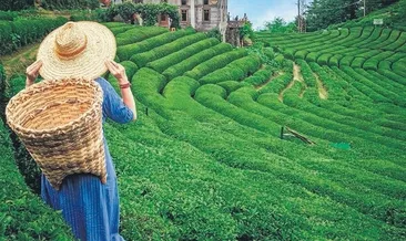 Karadeniz’de serin bir nefes