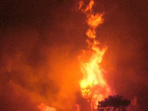Balıkesir Edremit’te yangın