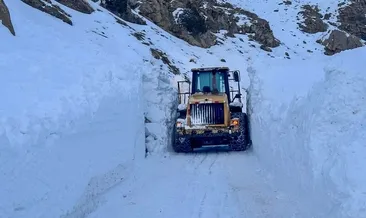 Van’da 4 ilçede eğitime kar engeli