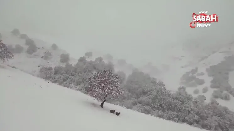 Çin’de mevsimin ilk karı kartpostallık görüntüler oluşturdu | Video