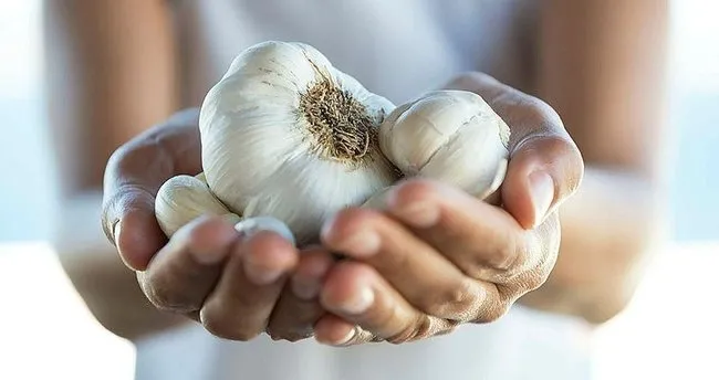 Sarımsak kansere karşı koruyor