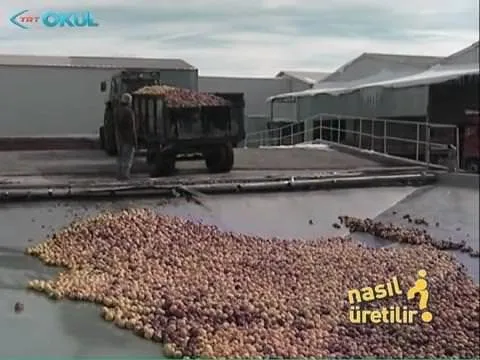 meyve suyu nasil uretilir galeri yasam