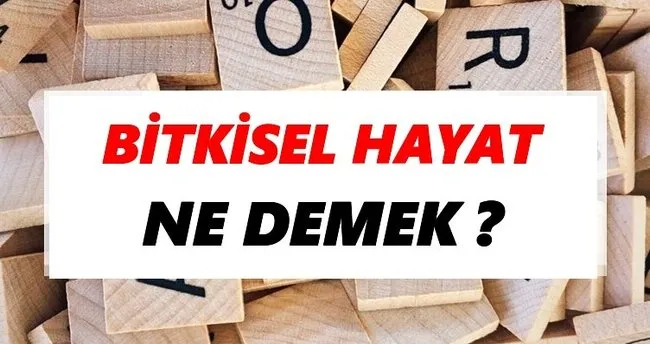 Bitkisel hayat Ne Demek? TDK’ya Göre Bitkisel hayat Sözlük Anlamı Nedir?