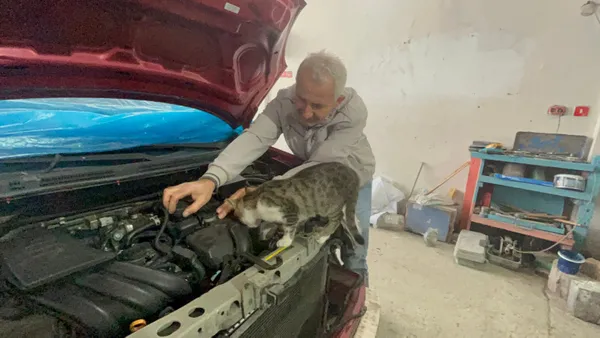kaportaci-olarak-dogmus-oto-tamircisi-kedi-nazli-sanayinin-de-goz-bebegi-1699777389908.jpg