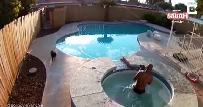 Havuza düşen köpeğini son anda kurtardı