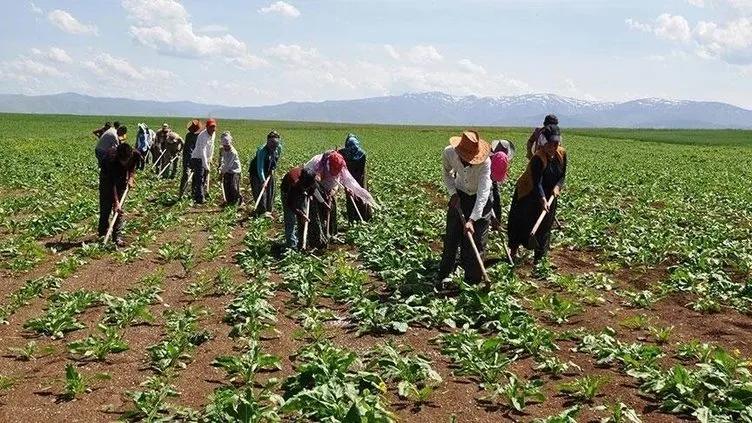 Mevsimlik tarım işçileri için yeni karar Resmi Gazete’de!