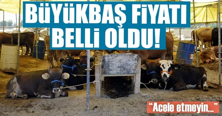 Kurbanlık fiyatları açıklandı! Ekonomi Haberleri