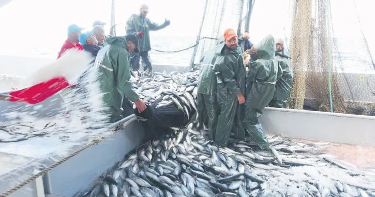 Karadeniz’de palamut bereketi