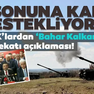 STK'lardan Bahar Kalkanı Harekatı'na destek açıklaması