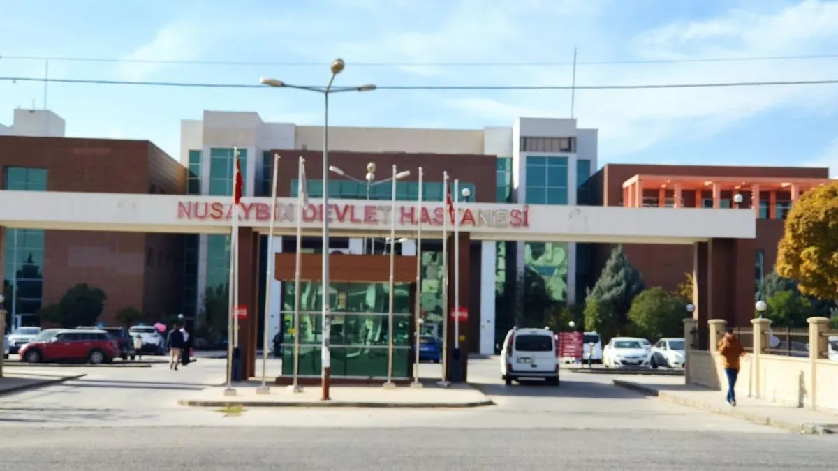 Nusaybin’de otomobil yaşlı adama çarptı: Hayatını kaybetti
