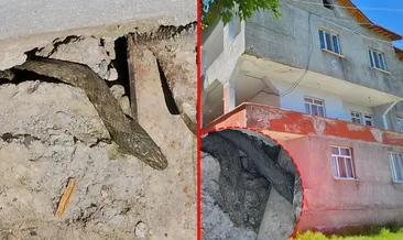 Muş’ta korku filmlerini aratmayan olay! Yılanlar tüm evi sardı: ’Bazılarının boyları 3 metre’